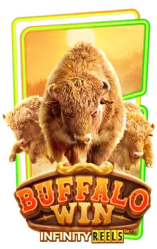 ทดลองเล่น-Buffalo-Win