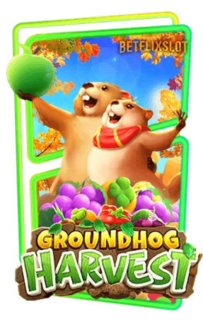 Groundhog-Harvest