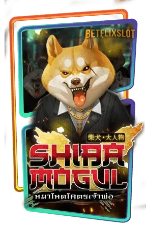 Shiba-Mogul