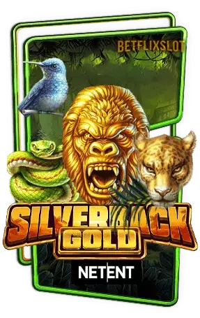 Silverback-Gold